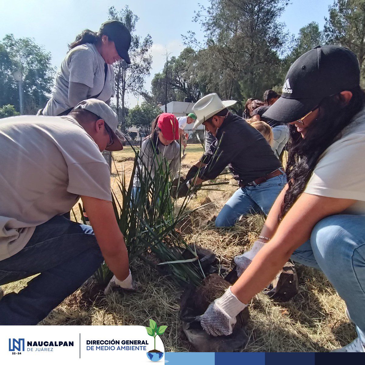 1696287512 304 Exitosa jornada de reforestacion en el Parque Correos en Ciudad