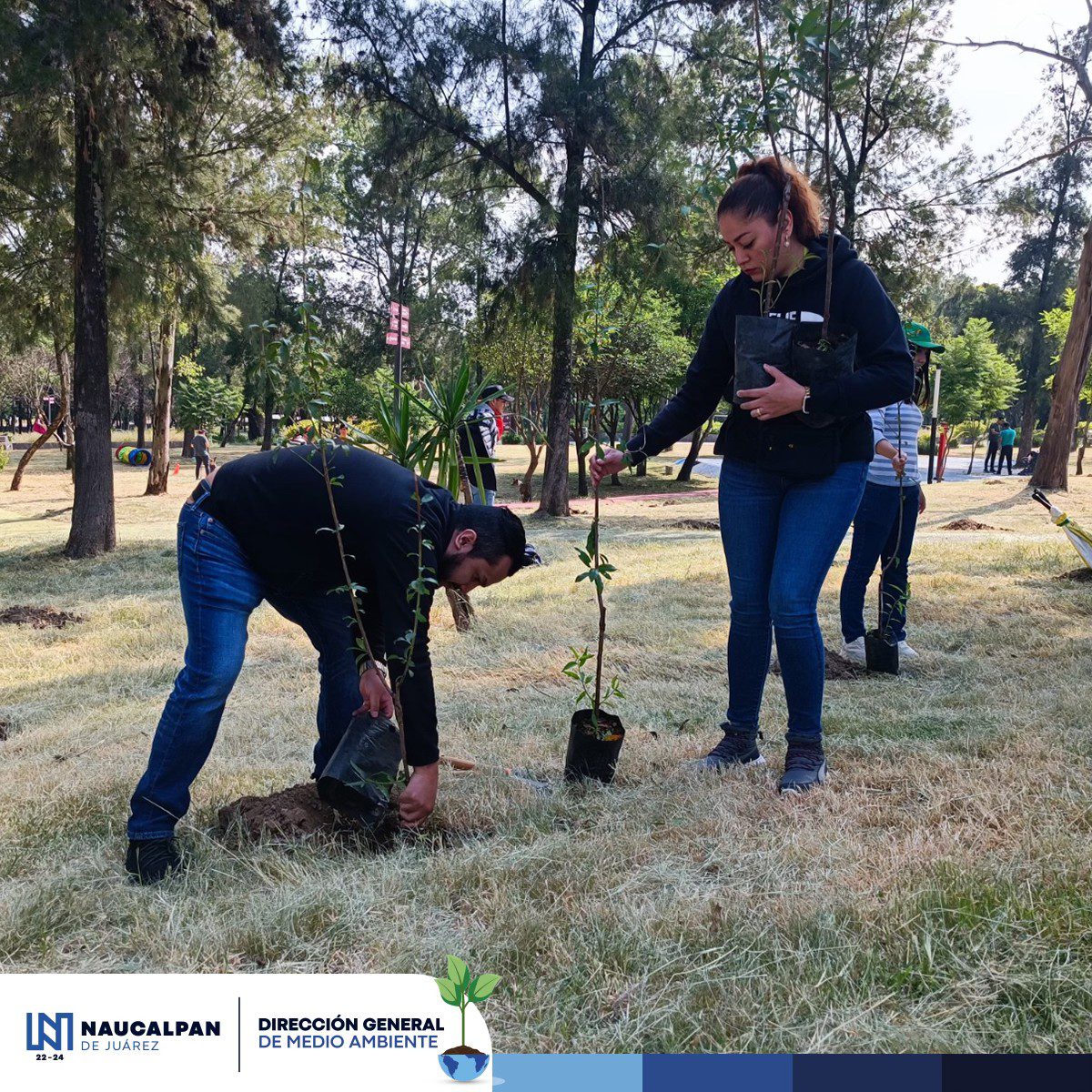 1696287517 124 Exitosa jornada de reforestacion en el Parque Correos en Ciudad