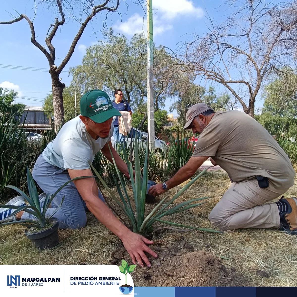 1696287553 Exitosa jornada de reforestacion en el Parque Correos en Ciudad jpg