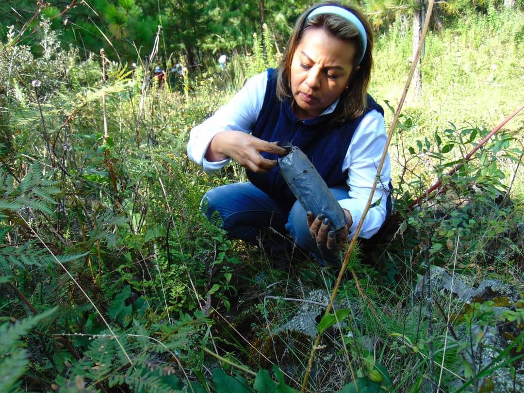 1696336650 206 ¡CUIDEMOS A NUESTRA MADRE NATURALEZA CUIDEMOS A LOS ARBOLES QUE