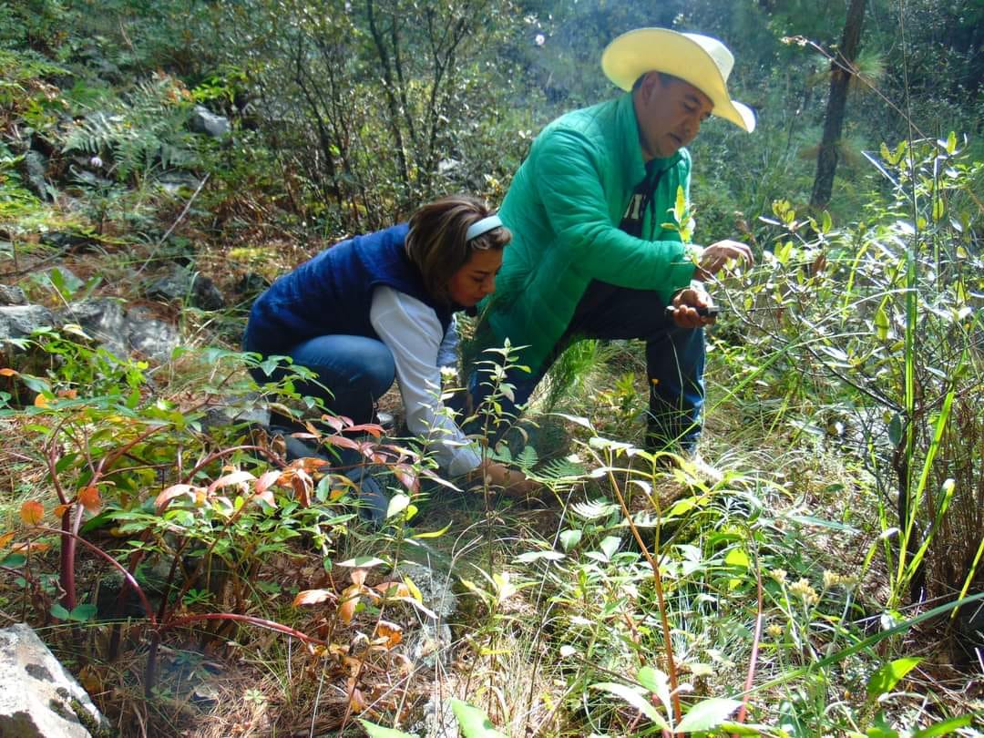 1696336656 93 ¡CUIDEMOS A NUESTRA MADRE NATURALEZA CUIDEMOS A LOS ARBOLES QUE