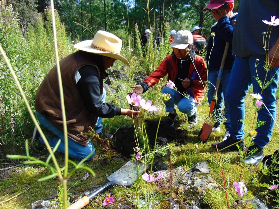 1696336662 278 ¡CUIDEMOS A NUESTRA MADRE NATURALEZA CUIDEMOS A LOS ARBOLES QUE