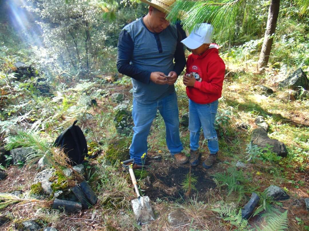 1696336668 87 ¡CUIDEMOS A NUESTRA MADRE NATURALEZA CUIDEMOS A LOS ARBOLES QUE