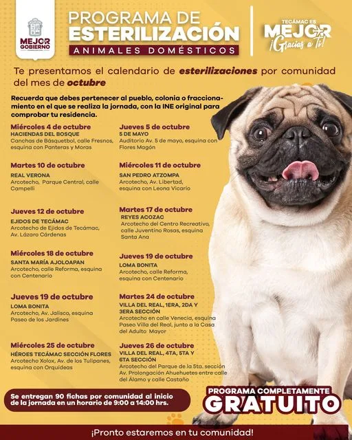 1696368734 Te presentamos el Calendario de Esterilizaciones del mes de octubre jpg