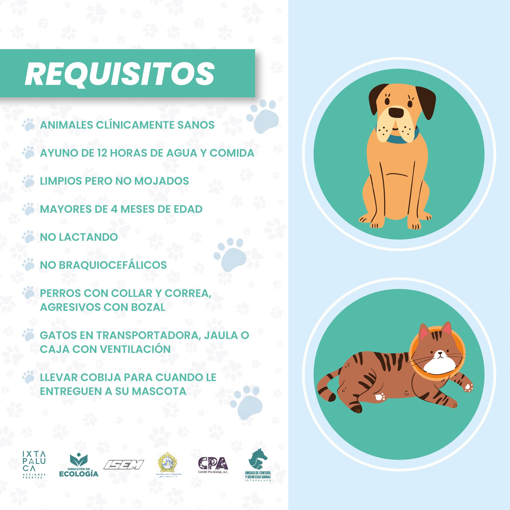 1696424557 905 ¡Por los perritos y gatitos Ayudanos a prevenir el abandono