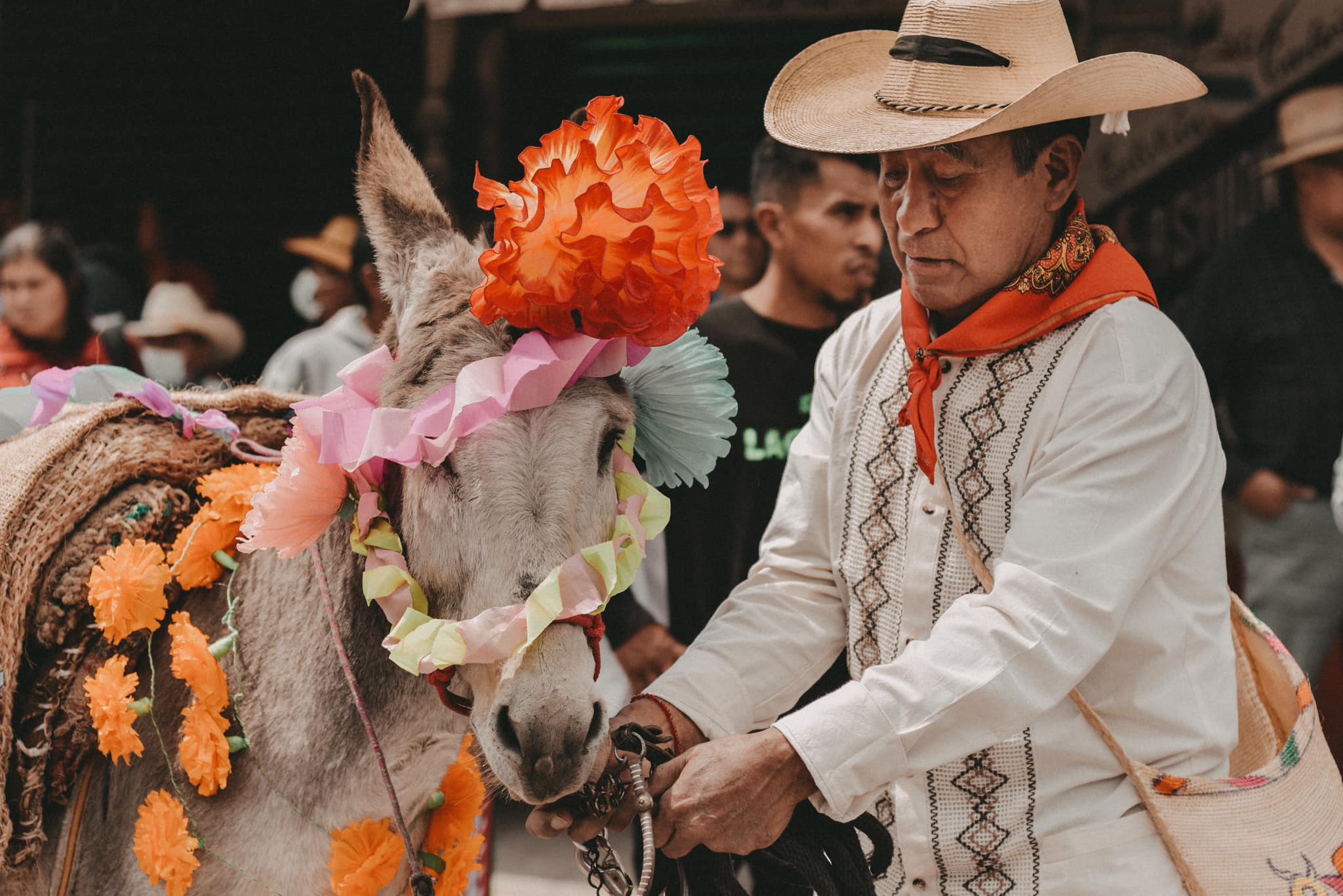 1696429652 327 Imagenes de nuestra identidad xalatlaquense Fiesta de San Francisco de