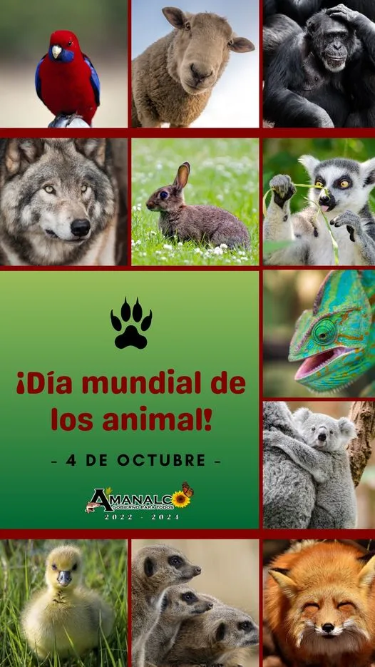 1696439651 Dia mundial de los Animales jpg