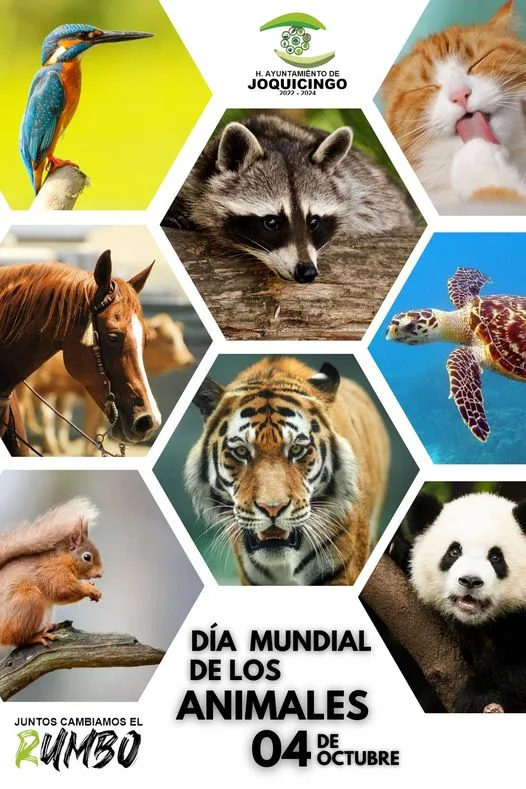 1696448719 El Dia Mundial de los Animales es un evento anual jpg