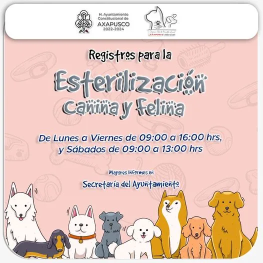 1696450395 Continuando con la Esterilizacion de Perros y Gatos la Unidad jpg