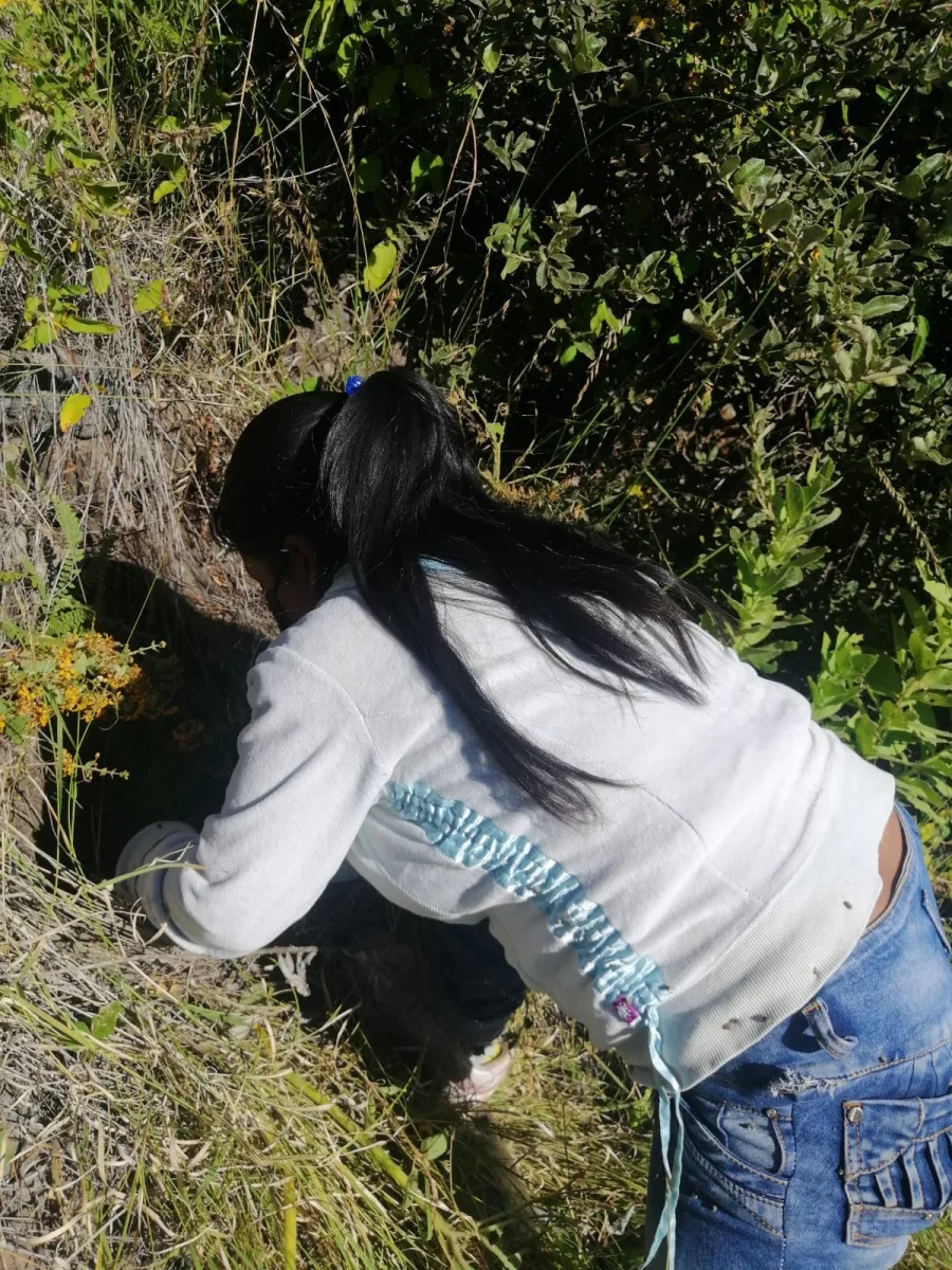 1696452269 62 Preocupados por los efectos del cambio climatico La Administracion Municipal