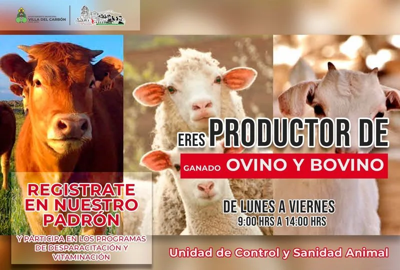 1696454580 Eres productor de ganado ovino y bovino ven y registrate jpg