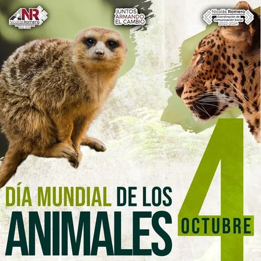 1696455615 El amor por los animales es el arma mas poderosa jpg