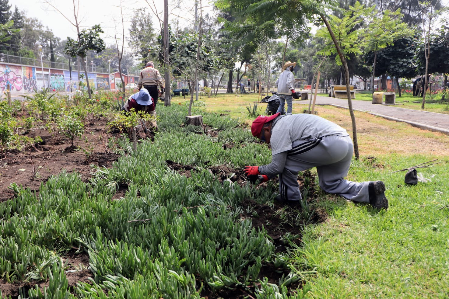 1696455681 794 ServiciosPublicos Continuamos realizando el arduo trabajo de reforestar y