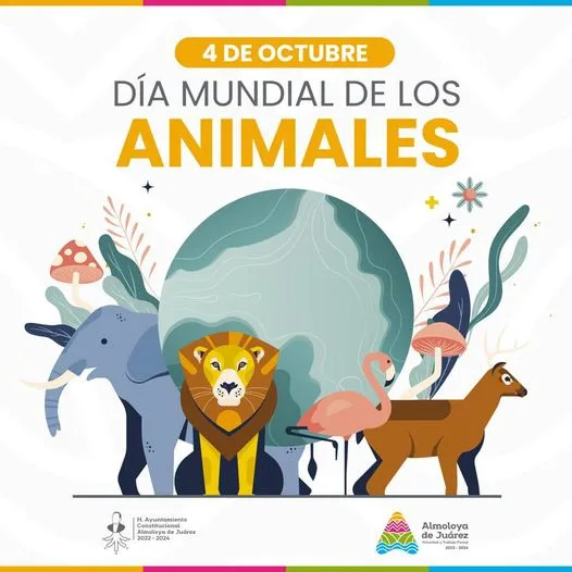 1696518858 Hoy conmemoramos el Dia Mundial de los Animales un dia jpg