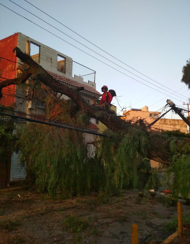 1696519399 648 Se realizan trabajos de liberacion de la calle Miguel Negrete