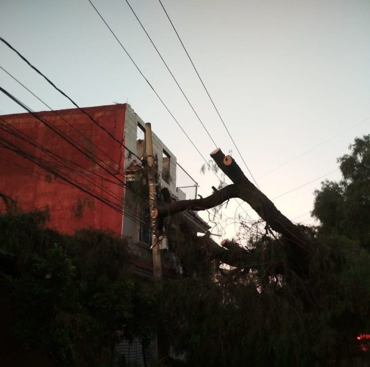 1696519404 35 Se realizan trabajos de liberacion de la calle Miguel Negrete