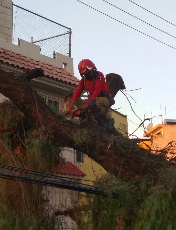 1696519410 206 Se realizan trabajos de liberacion de la calle Miguel Negrete