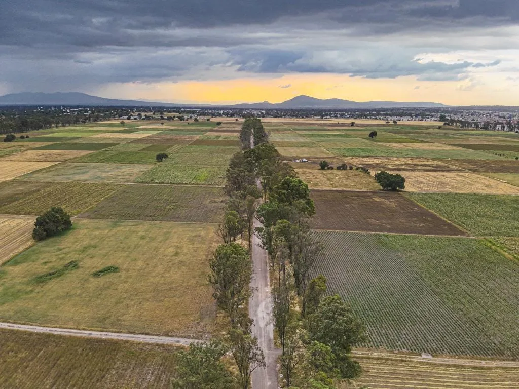 1696522965 LAS CORTINAS DE SAN BARTOLO CUAUTLALPAN Los campos de cultivo jpg