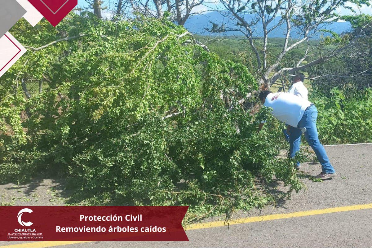 1696525796 613 Proteccion civil acudio de manera inmediata y efectiva a retirar