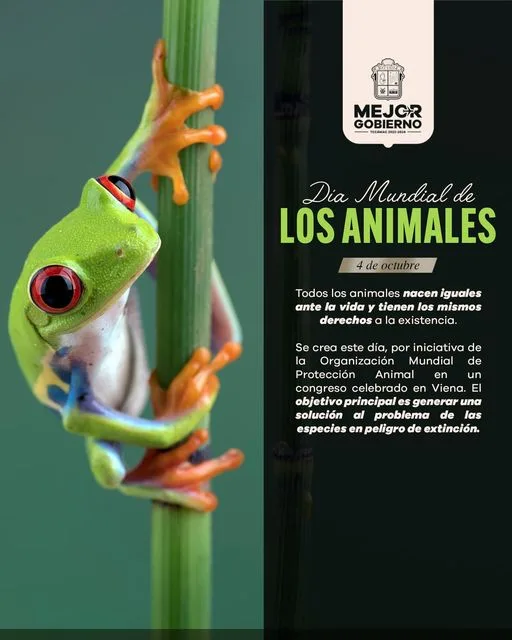 1696527158 Este Dia Mundial de los Animales recordemos la importancia de jpg