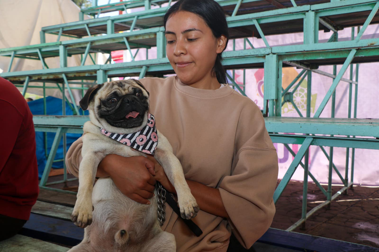 1696532745 564 Bendicion de Mascotas Nuestros animales de compania son tambien