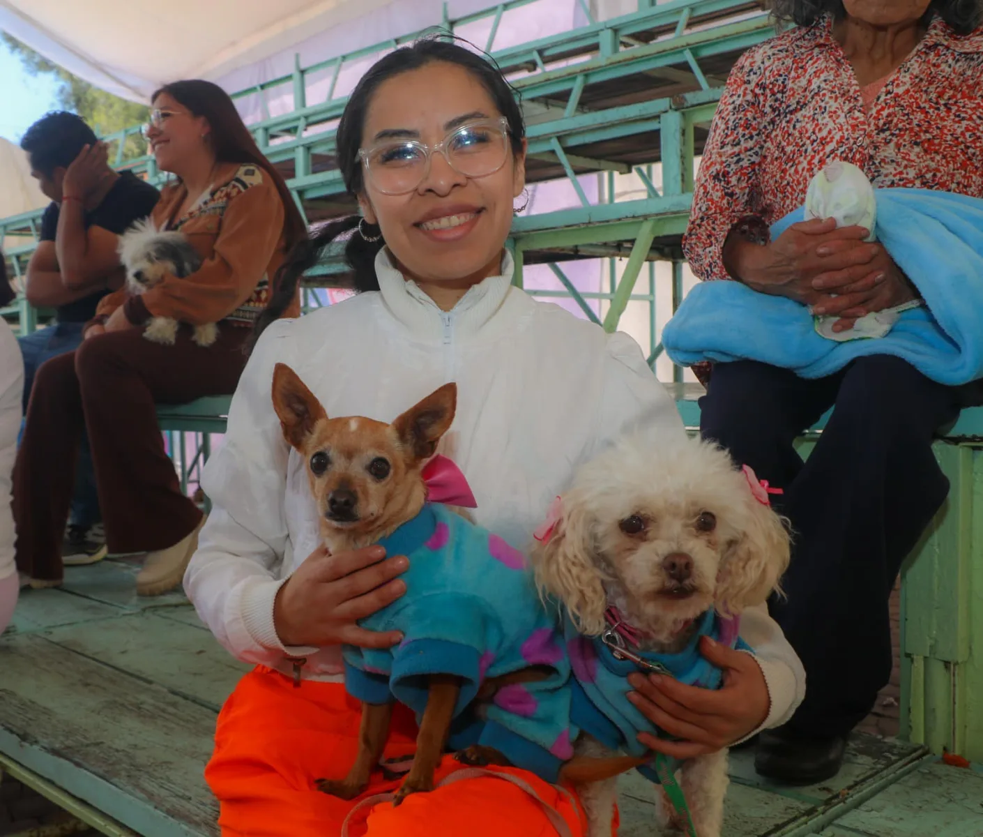 1696532751 514 Bendicion de Mascotas Nuestros animales de compania son tambien