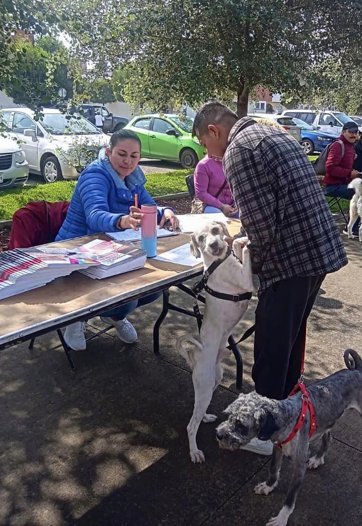 1696545739 38 Llevamos a cabo una jornada mas de EsterilizacionCaninaYFelina en esta