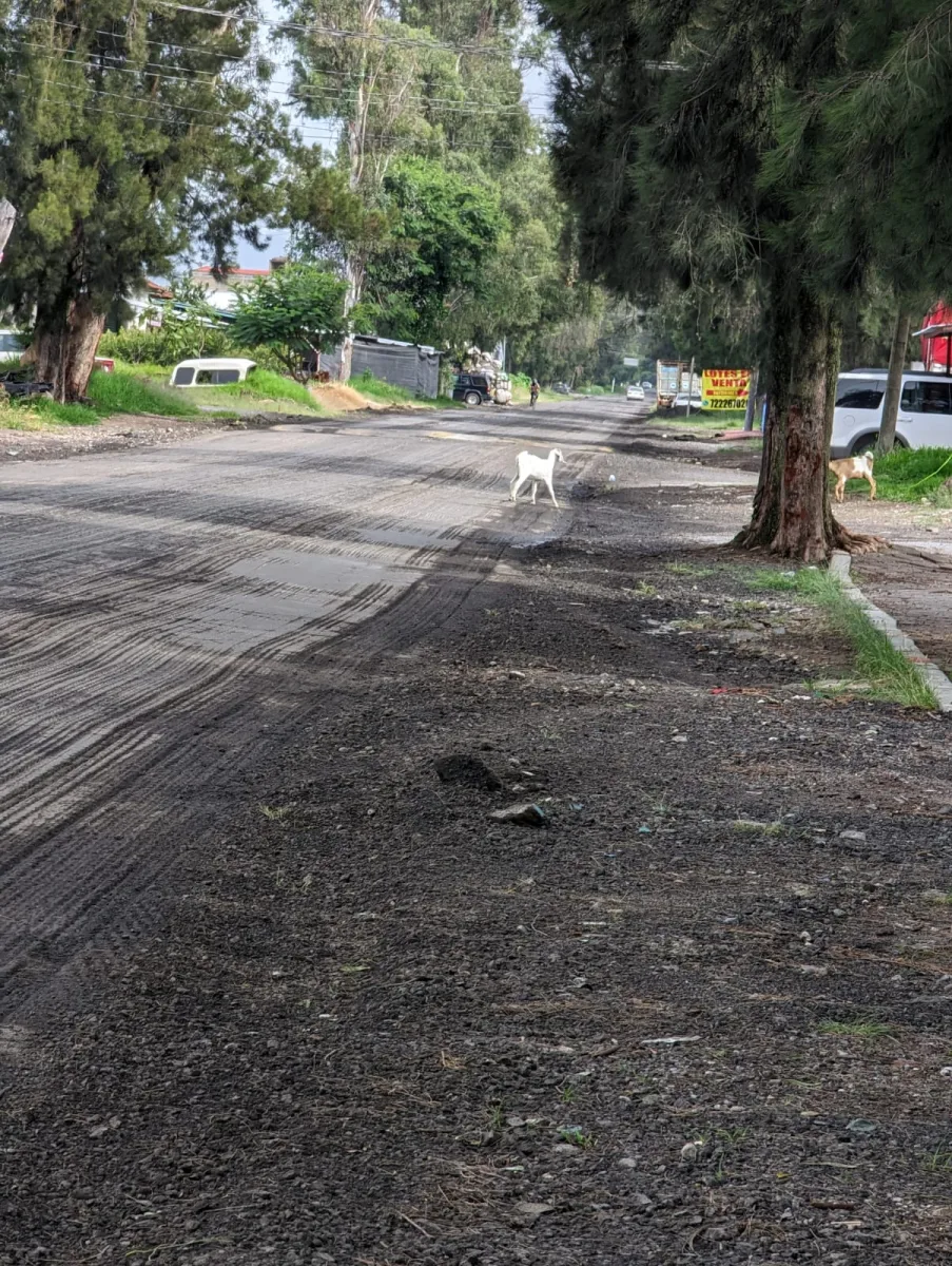 1696550015 126 PorAmoraIxtapan Las senoritas que participaron en el certamen Reina