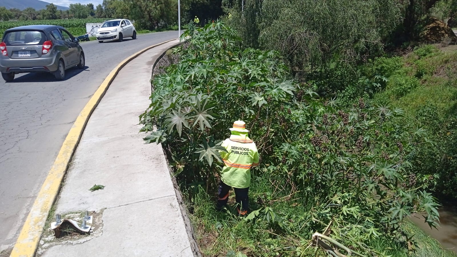 1696598663 652 La brigada de Servicios Publicos realizo mantenimiento a lo largo