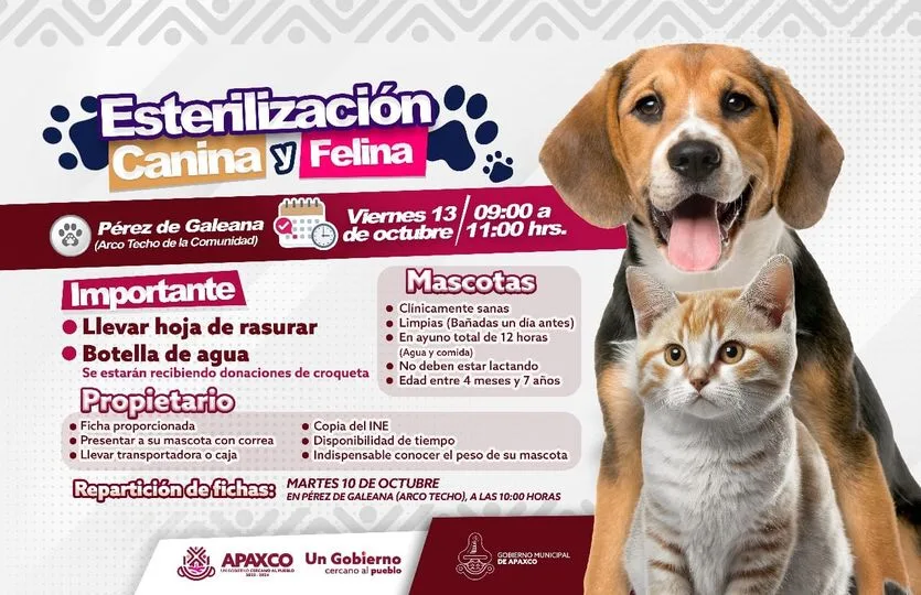 1696609057 EN PEREZ DE GALEANA ESTERILIZACION GRATUITA CANINA Y FELINA jpg