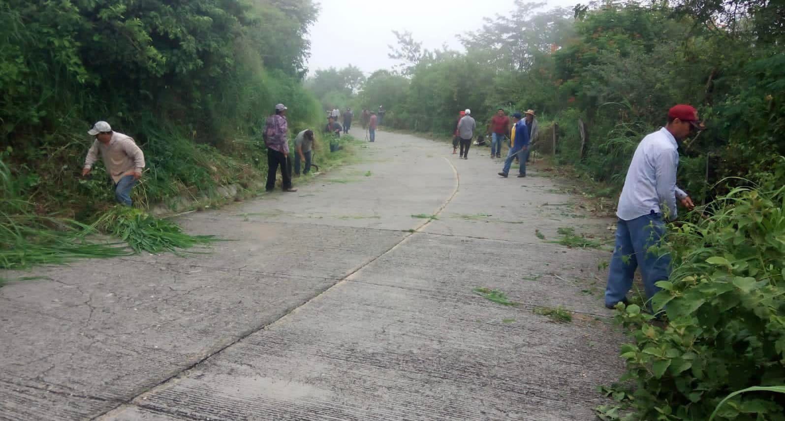 1696617477 976 Estamos llevando acabo el deshierbe de la carretera Las Parotas