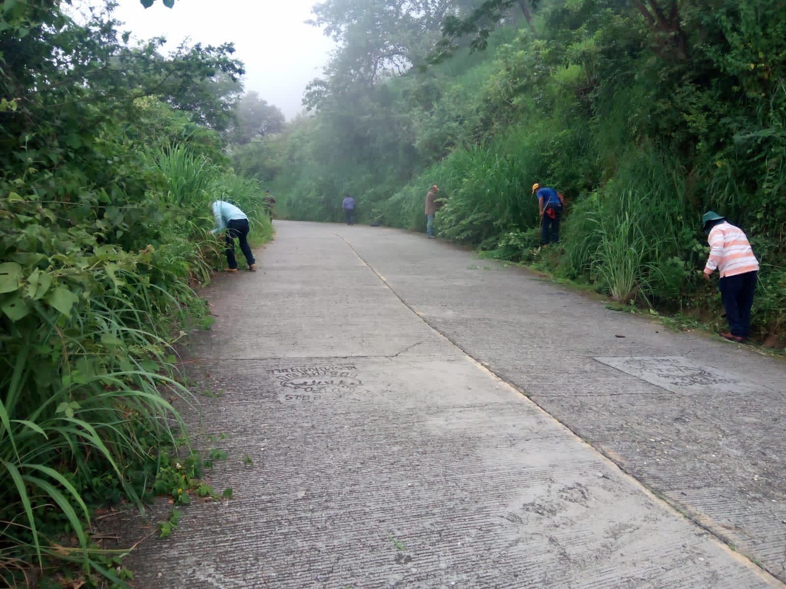 1696617481 518 Estamos llevando acabo el deshierbe de la carretera Las Parotas