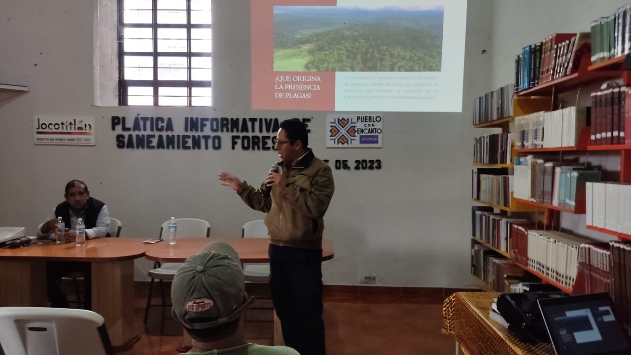 1696621698 798 Dando continuidad a los trabajos de Saneamiento Forestal en el