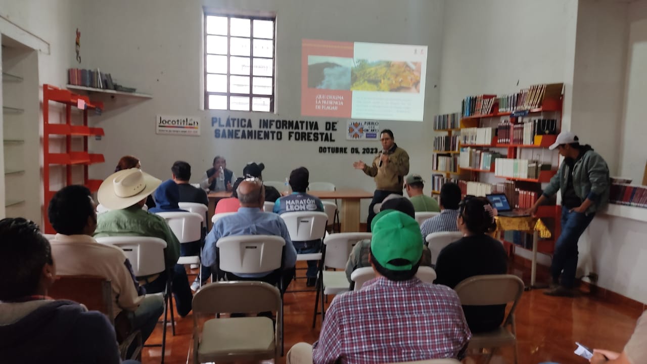 1696621703 541 Dando continuidad a los trabajos de Saneamiento Forestal en el