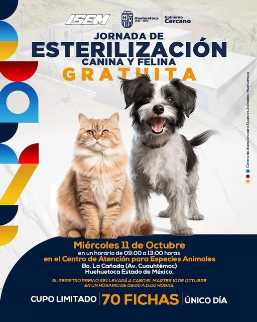 1696622128 JORNADA DE ESTERILIZACION CANINA Y FELINA El Gobierno de jpg