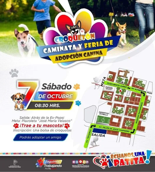 1696625121 Feria de adopcion jpg