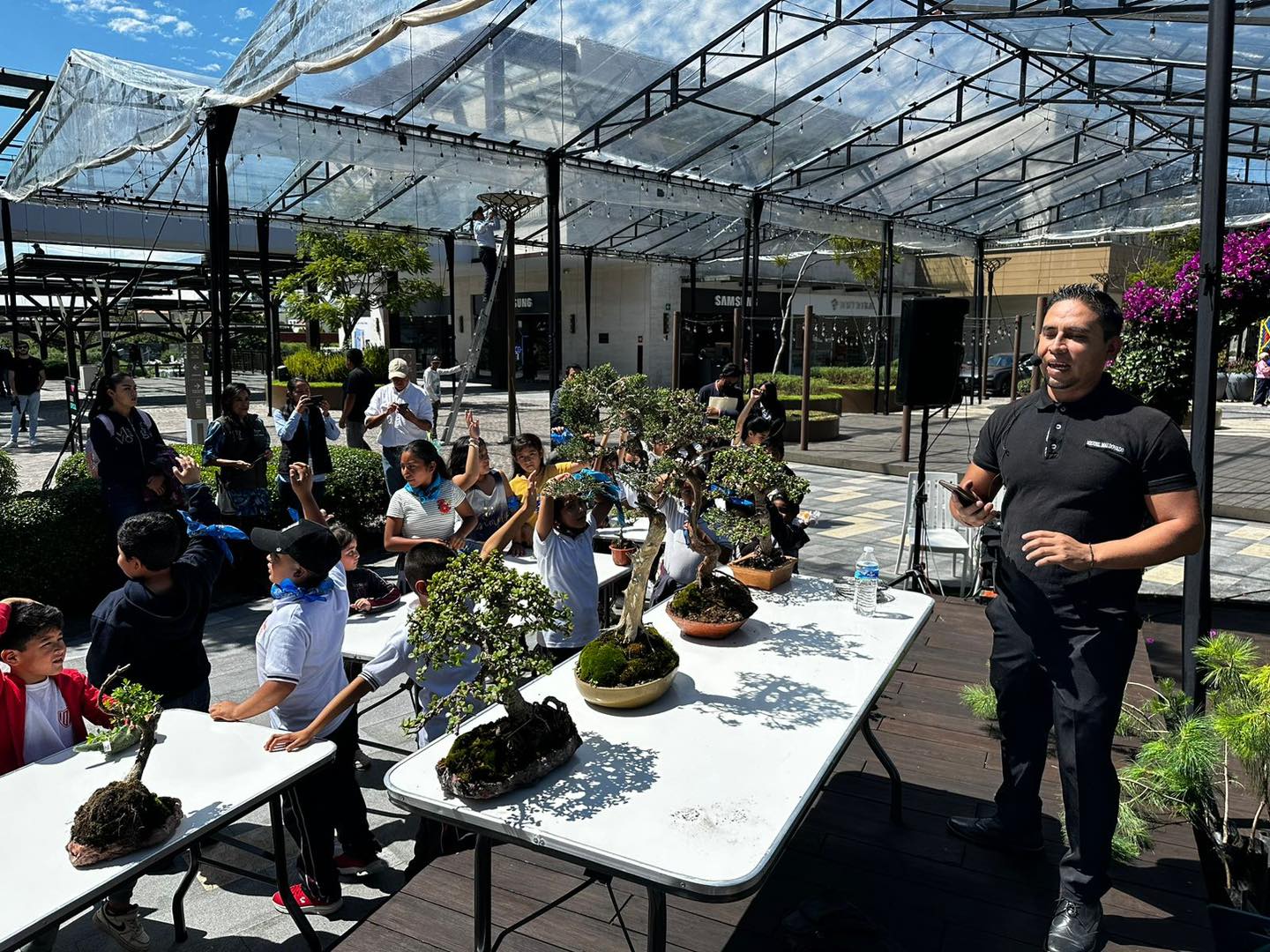 1696628737 728 QuimeraKids Taller de Arte Bonsai por Miguel Maldonado