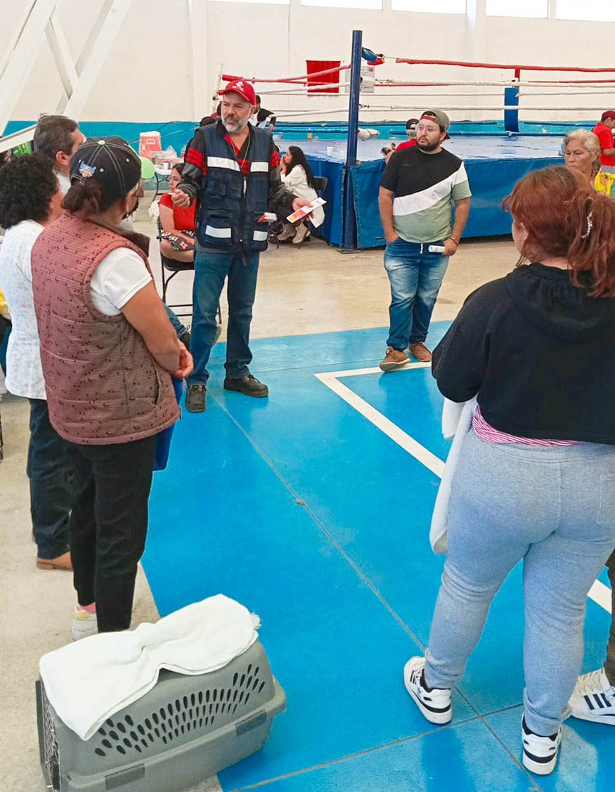 1696691052 361 Hoy 250 perritos y gatitos fueron esterilizados en el Centro