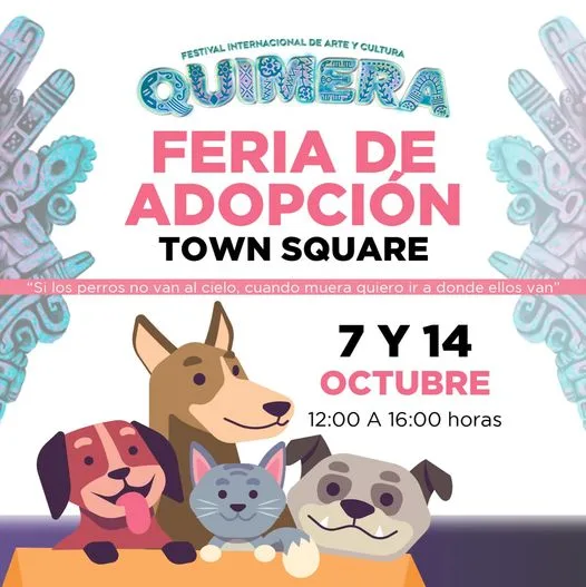 1696700578 Tambien hay feria de adopcion en Quimera2023 Town Square Metepec jpg