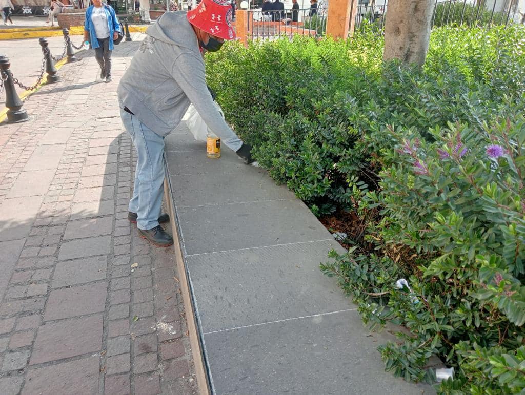 1696707852 857 La Direccion de Metepec Servicios Publicos es la encargada de