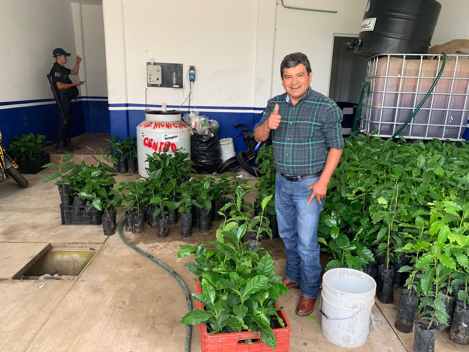 1696791318 31 Se sigue entregando planta de cafe en la Cabecera Municipal