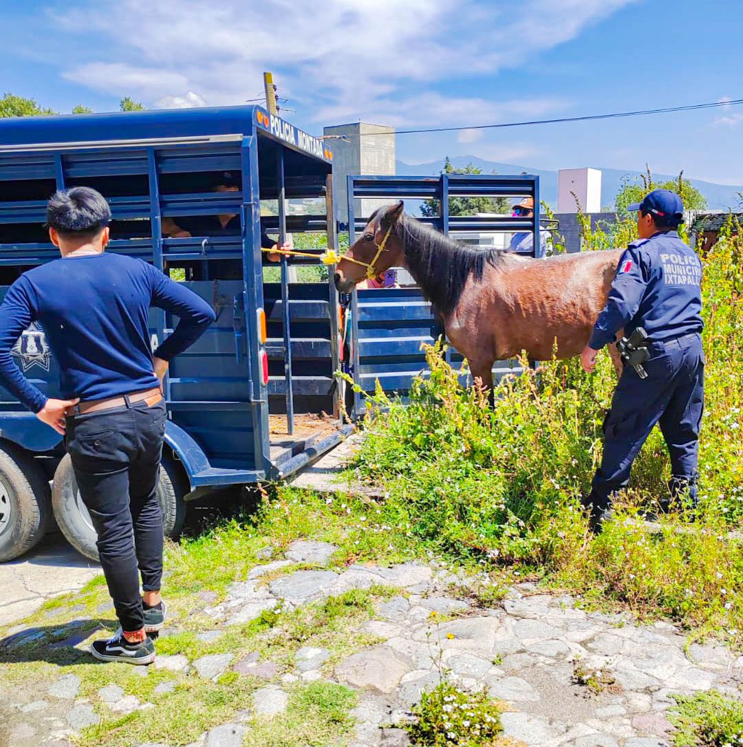 1696793069 762 La Direccion de Ecologia HAyuntamiento de Ixtapaluca 22 24 en