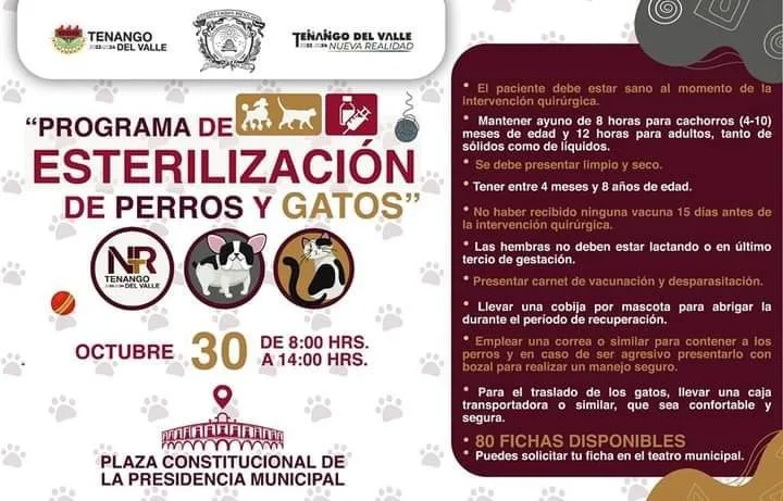 1696794488 ¡Lunes 30 de octubre nueva fecha para esterilizar a tu jpg