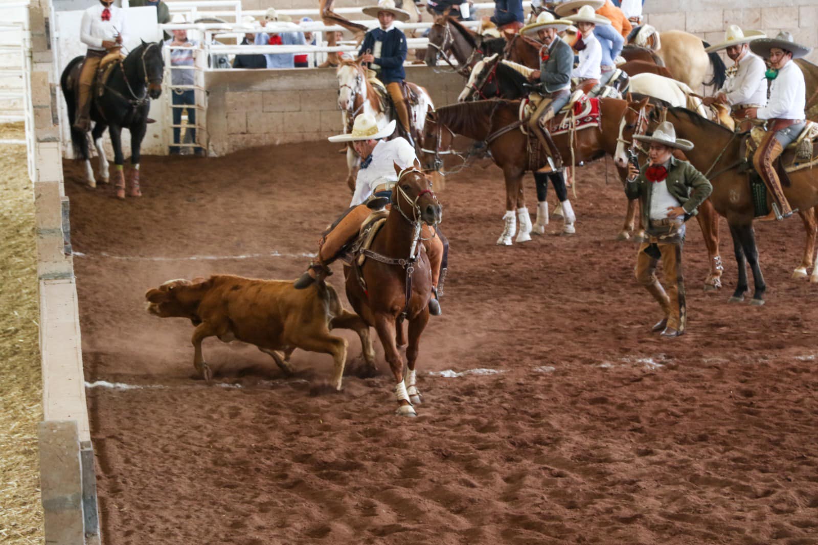 1696807520 696 Super charreada y charlotada de clausura de la Feria