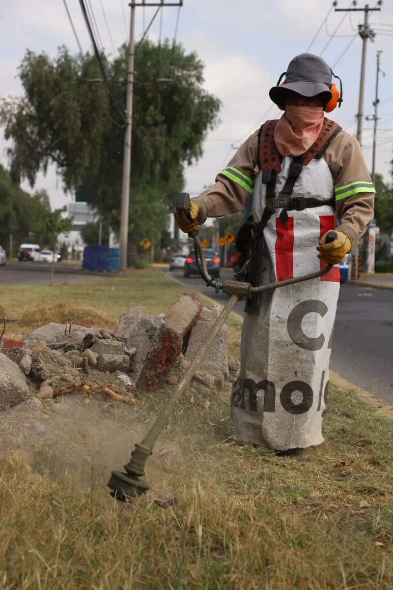 1696940591 Continuamos con los trabajos de embellecimiento poda y barrido de