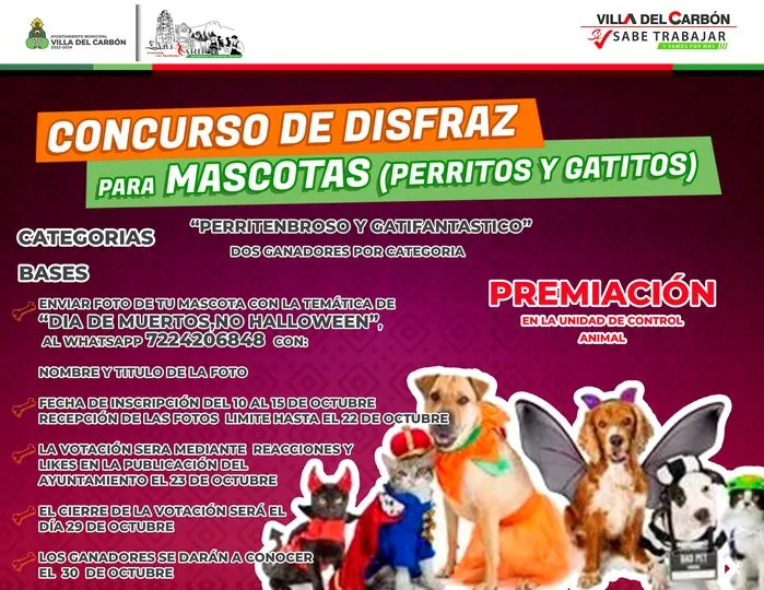 1696974212 Disfraza a tu mascota y participa jpg