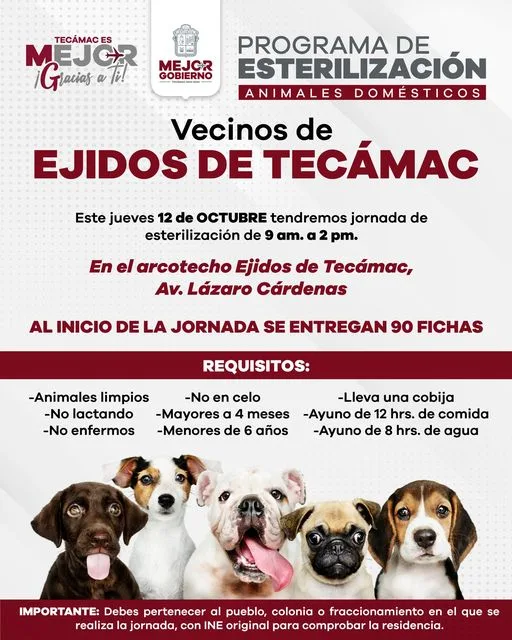 1697050929 Vecino de EjidosdeTecamac te informamos que manana 12 de octubre jpg