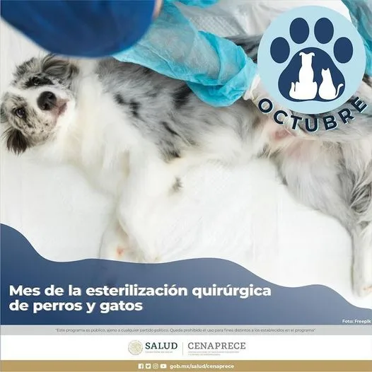 1697117833 Recuerda que manana 12 de Octubre tenemos esterilizacion masiva jpg