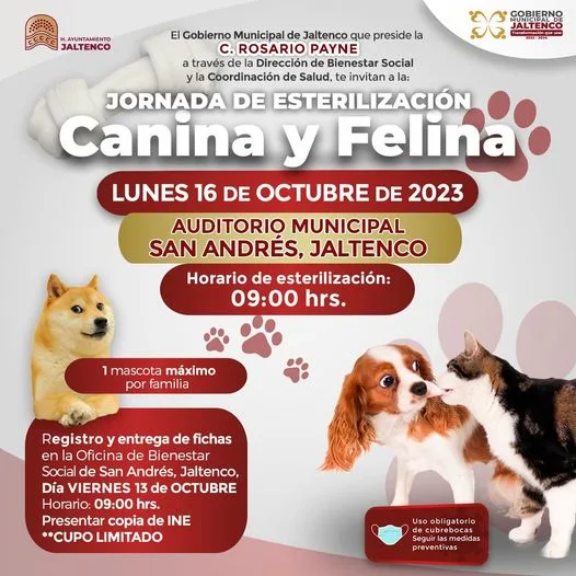 1697131158 JORNADA DE ESTERILIZACION CANINA Y FELINA jpg