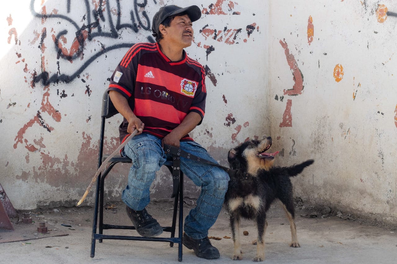 1697146137 492 GOBIERNOS DE CHIMALHUACAN Y EDOMEX REALIZAN JORNADA DE ESTERILIZACION CANINA